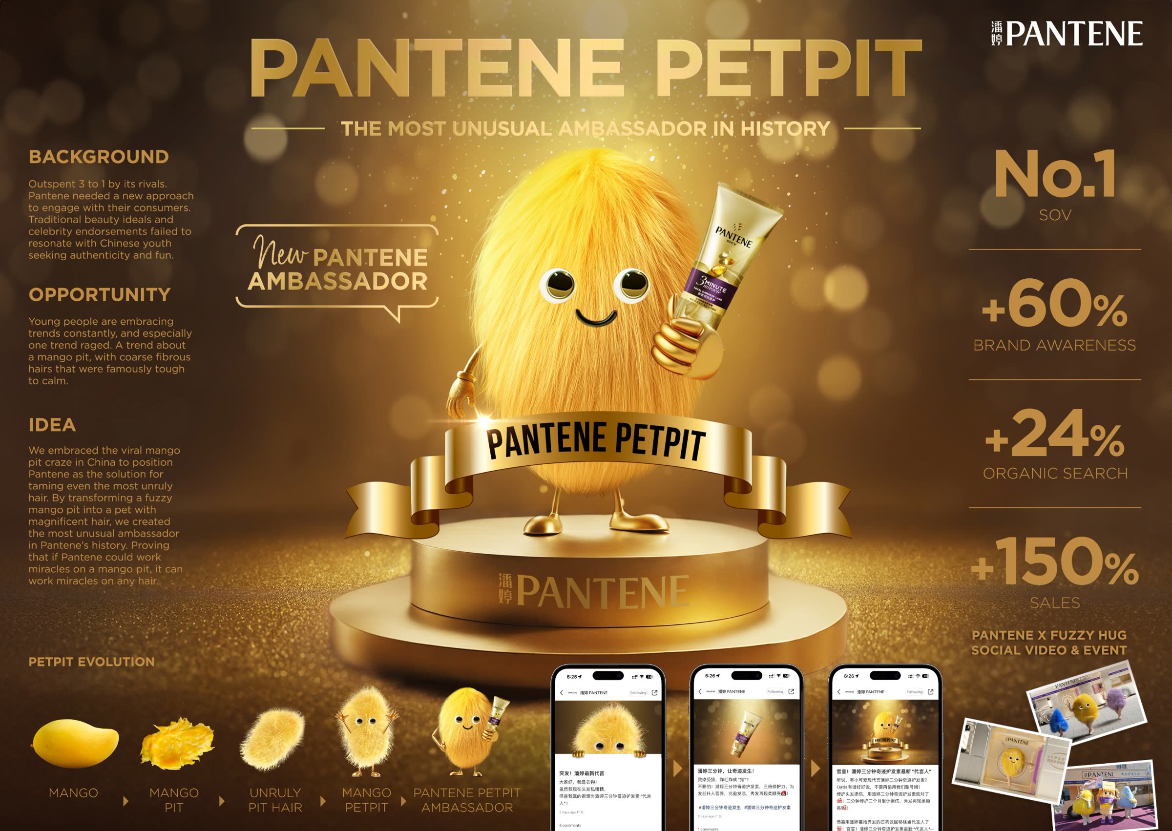 Pantene PetPit idea board